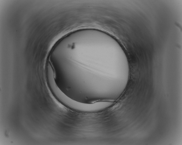 X0000098051519200804251051