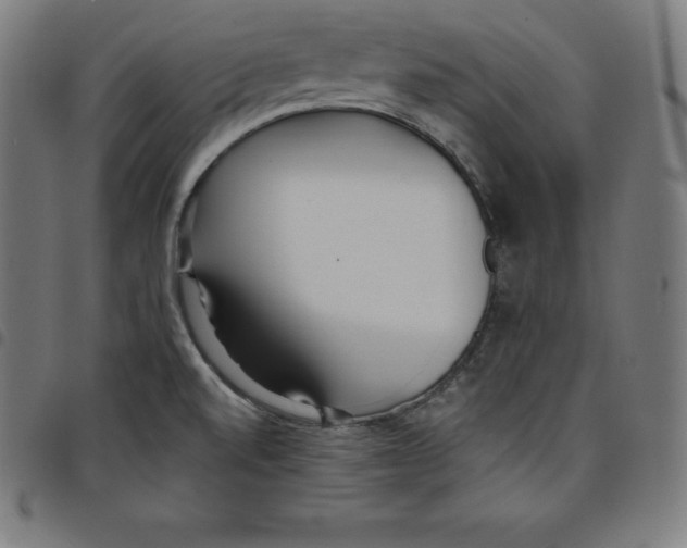 X0000098051520200804251051