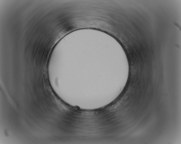 X0000098051521200804251051