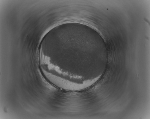 X0000098051522200804251051