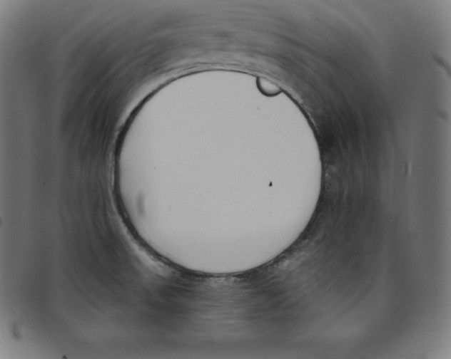 X0000098051523200804251051