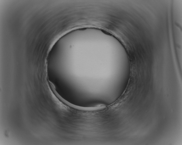 X0000098051524200804251051