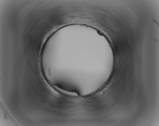 X0000098051525200804251051