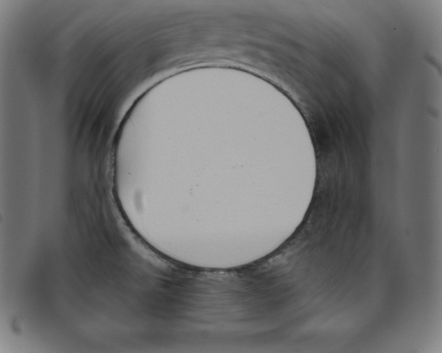 X0000098051526200804251051