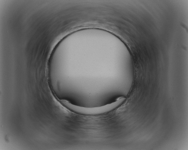 X0000098051527200804251051