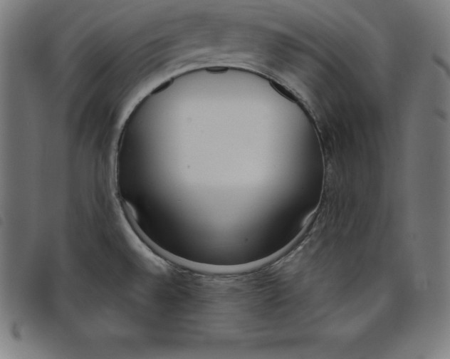 X0000098051528200804251051