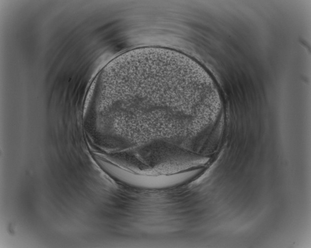 X0000098051529200804251051