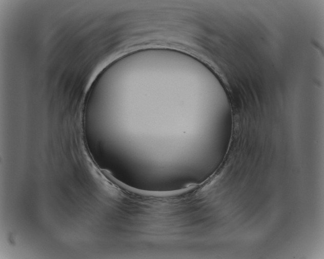 X0000098051530200804251051