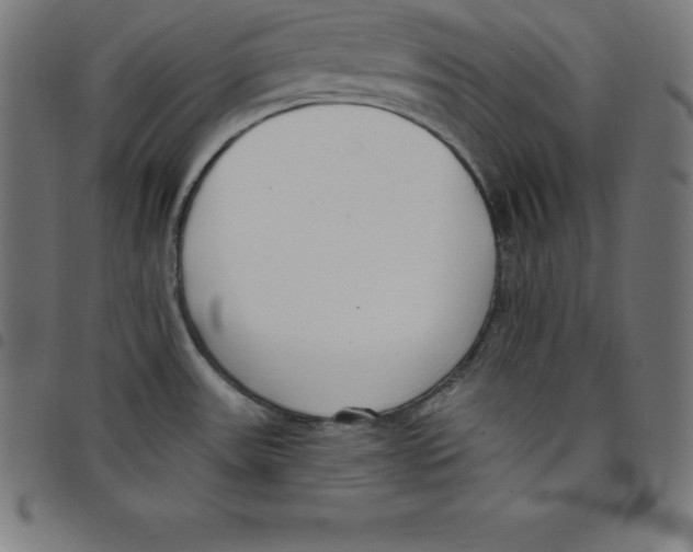 X0000098051531200804251051