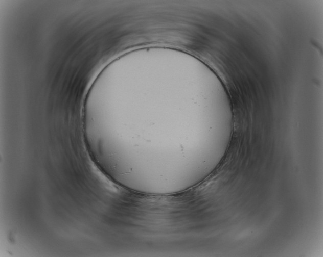 X0000098051532200804251051