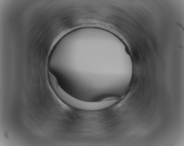 X0000098051533200804251051