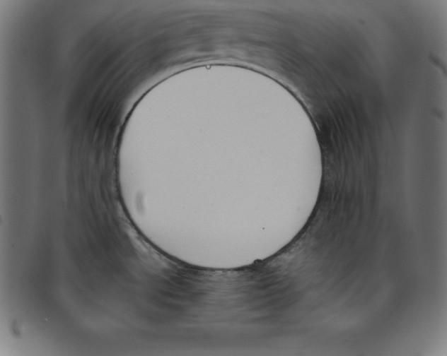 X0000098051534200804251051