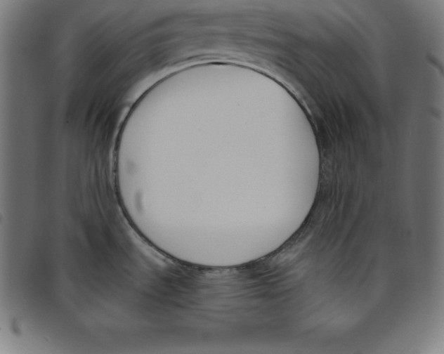 X0000098051535200804251051