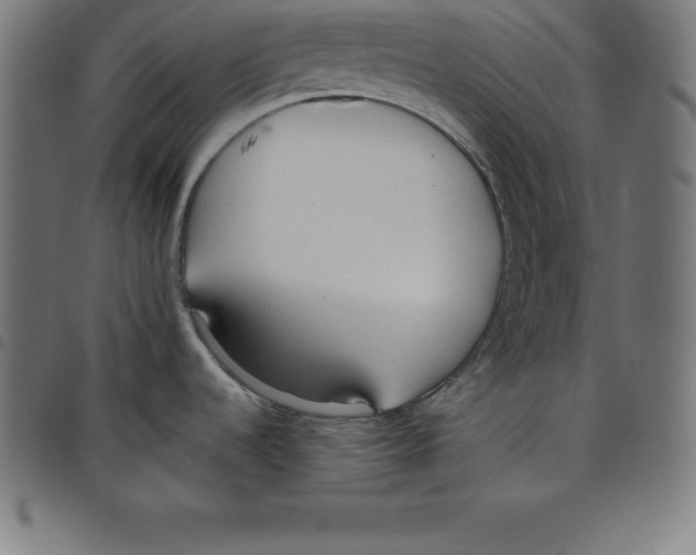 X0000098051536200804251051