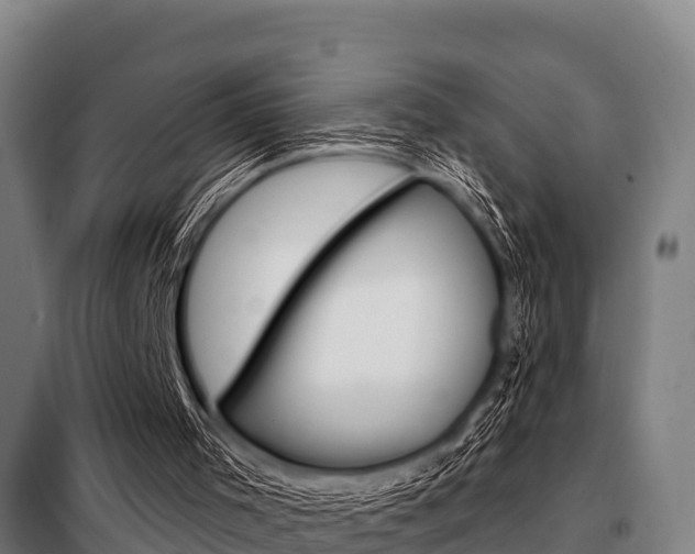 X0000098070001200804040739