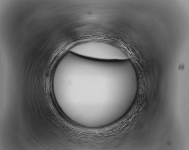 X0000098070002200804040739