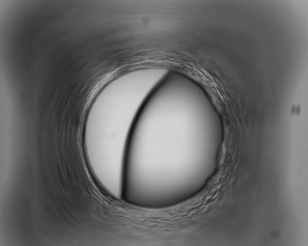 X0000098070003200804040739