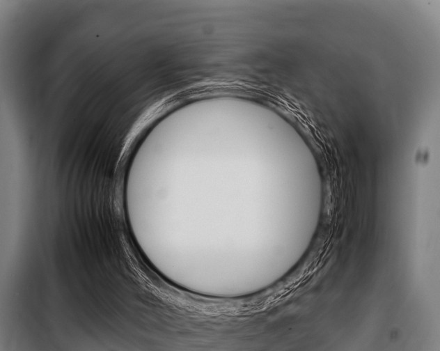 X0000098070004200804040739