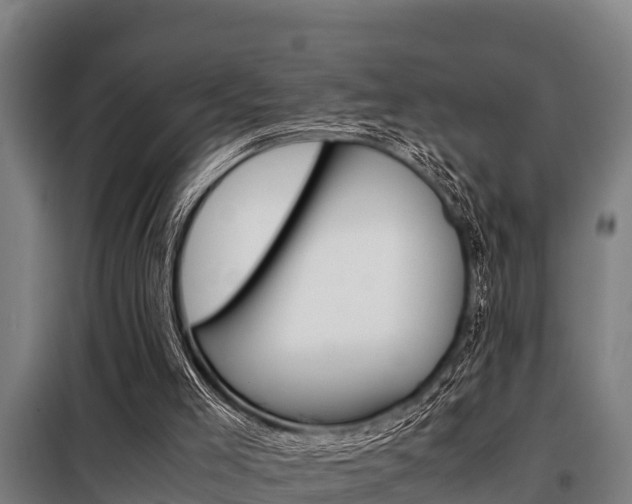 X0000098070005200804040739