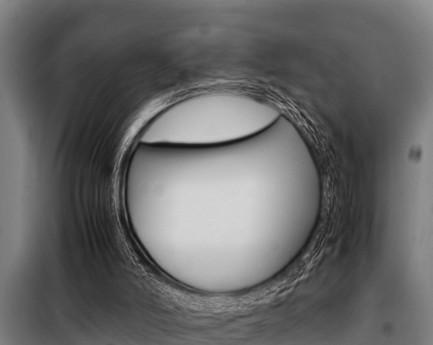 X0000098070006200804040739