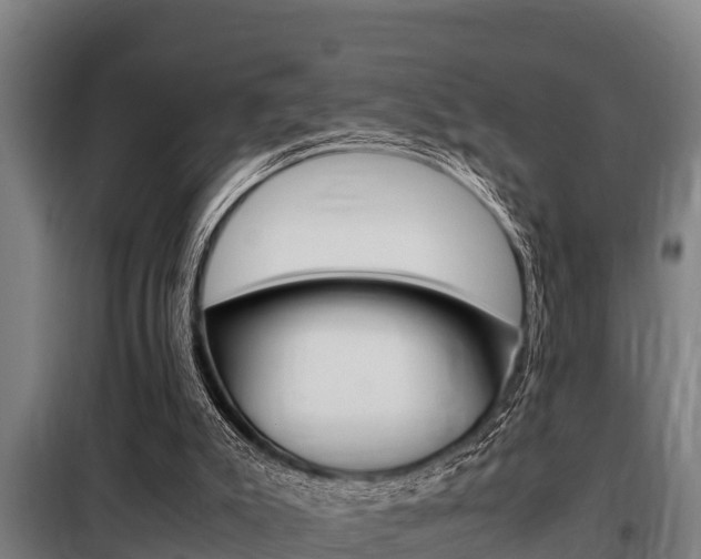 X0000098070007200804040739