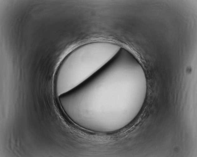 X0000098070008200804040739