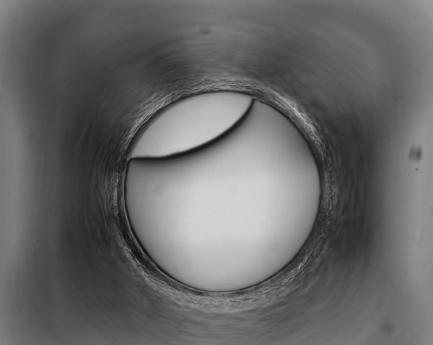 X0000098070010200804040739