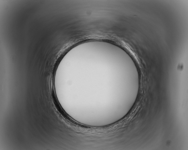 X0000098070011200804040739