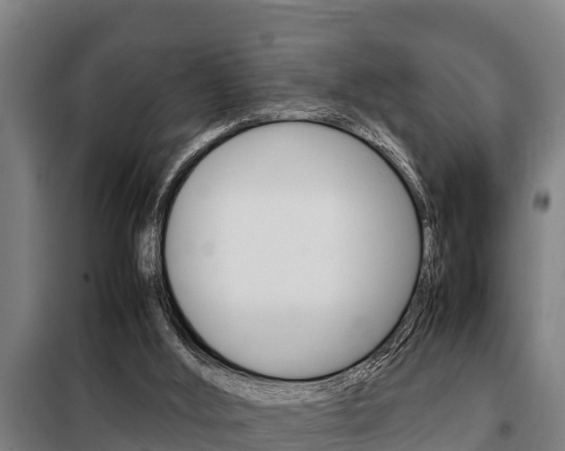 X0000098070012200804040739
