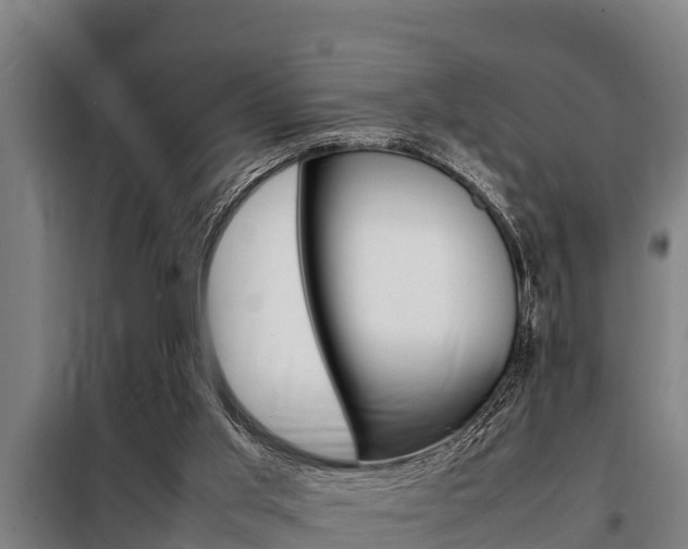 X0000098070013200804040739