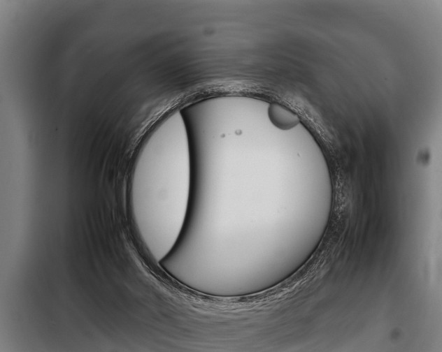 X0000098070014200804040739