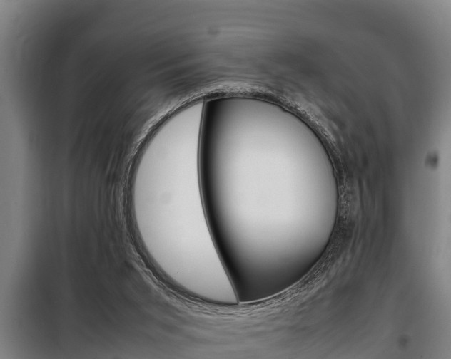 X0000098070015200804040739