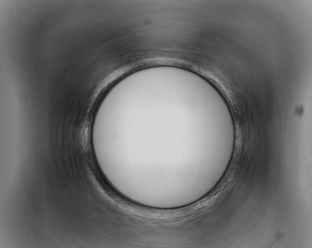 X0000098070016200804040739
