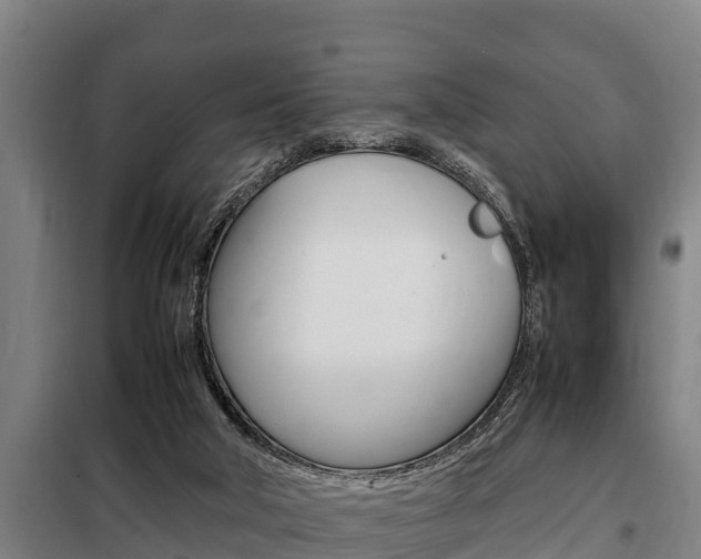 X0000098070018200804040739