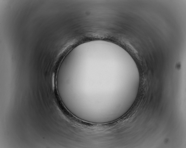 X0000098070020200804040738