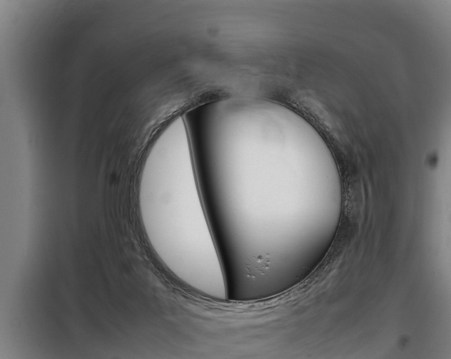 X0000098070023200804040738