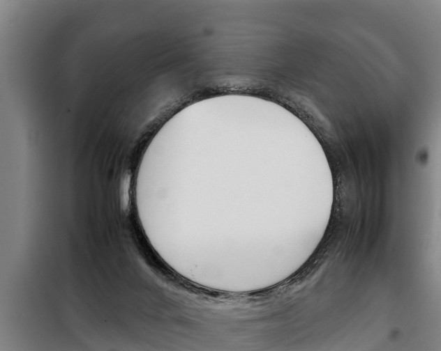 X0000098070024200804040738