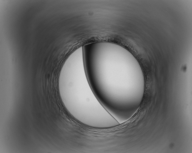 X0000098070025200804040738