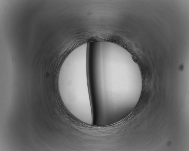X0000098070027200804040738