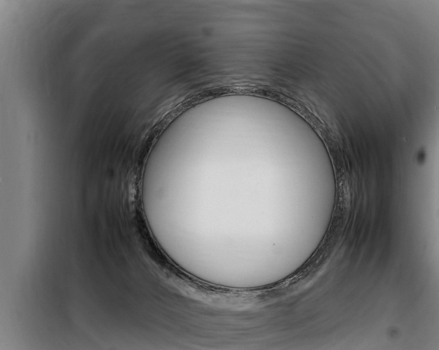 X0000098070032200804040738