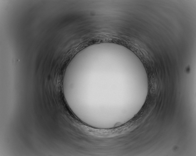 X0000098070034200804040738