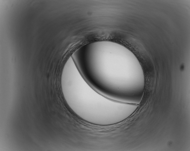X0000098070035200804040738