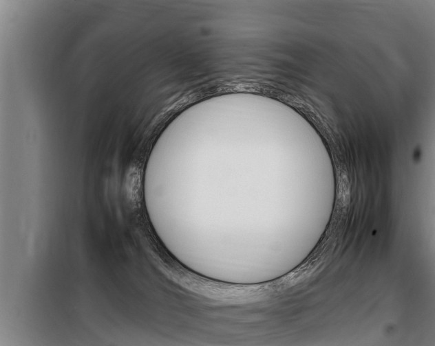 X0000098070036200804040738