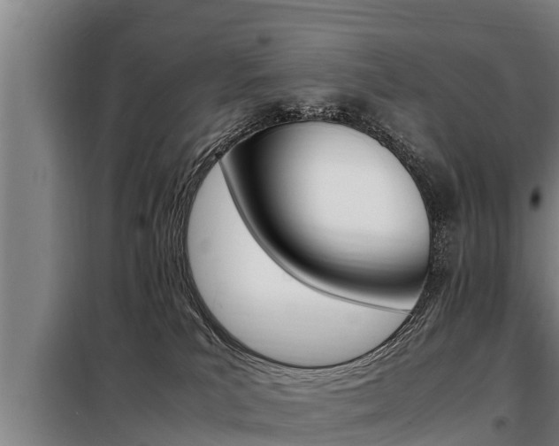 X0000098070039200804040738