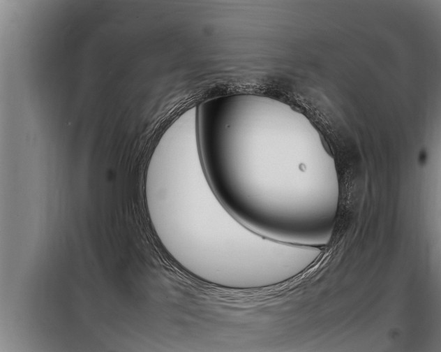 X0000098070041200804040738