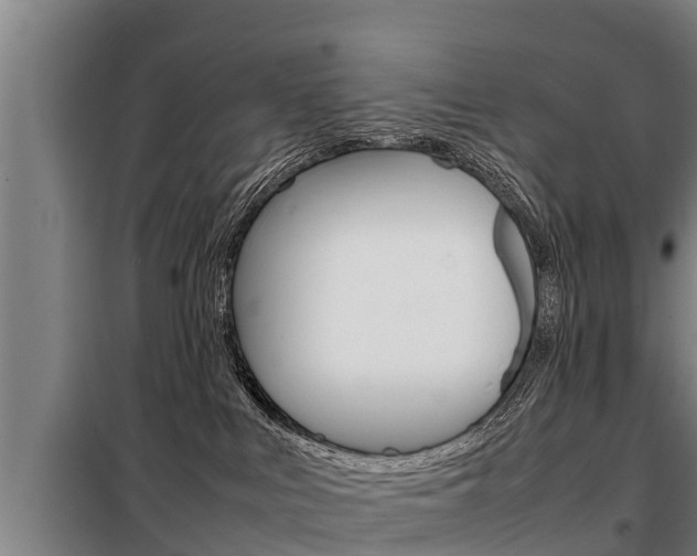X0000098070043200804040738