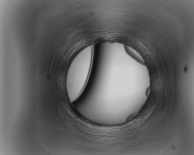 X0000098070044200804040738