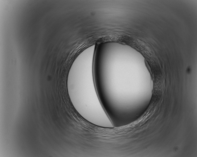 X0000098070045200804040738