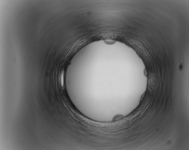 X0000098070046200804040738