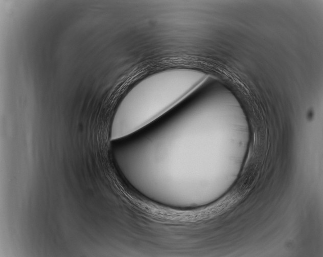 X0000098070048200804040738
